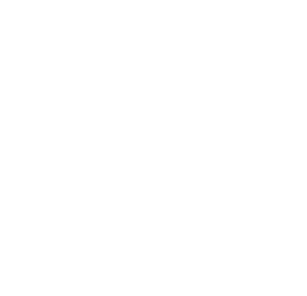 IR Ski & Snowboard Team Logo